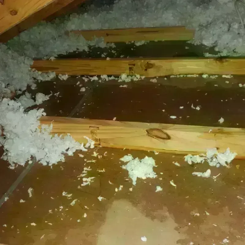 Attic Water Damage in Woodland Beach, MI