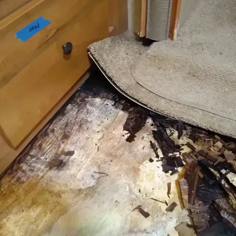 Wood Floor Water Damage in Woodland Beach, MI